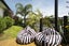 35 Danny Place, Pyes Pa, Tauranga - Carousel 18