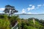 26 Stevenson Way, Cockle Bay, Auckland - Carousel 5