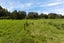 369 Mangakura Road, Helensville, Helensville - Carousel 30