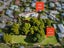 10 Jellicoe Place, Solway, Masterton - Carousel 18