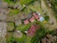 116 Rosebanks Drive, Tamahere - Carousel 32