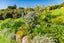 22 Onekura Road, Waipapa, Kerikeri - Carousel 34