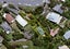 5 Alexandra Road, Roseneath, Wellington - Carousel 13