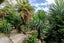 46 Dale Road, Raumati South, Paraparaumu - Carousel 10