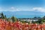 9 Baigent Road, Enner Glynn, Nelson - Carousel 5