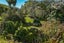 232 Kaimaumau Road, Waiharara, Awanui - Carousel 28