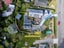 5 Plateau Road, Te Marua, Upper Hutt, Wellington - Carousel 38