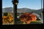 11 Hotop Place, Cromwell, Cromwell - Carousel 16