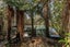 167 Darkies Terrace Road, CHARLESTON, Cape Foulwind  - Carousel 29