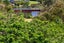 17 Patricia Place, Katikati, Katikati - Carousel 12