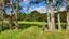 805 Whangaripo Valley Road, Whangaripo, Wellsford - Carousel 15