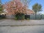 48 South Belt, Methven, Methven - Carousel 27