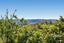 10 Missy Crescent, Mount Pisa, Cromwell - Carousel 23