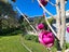 970 Rings Road, Coromandel, Coromandel - Carousel 7