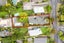 17 Queenwood Avenue, Queenwood, Hamilton - Carousel 25