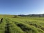 0 Maungakaramea Road, Maungakaramea, Maungakaramea - Carousel 4