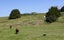1238 Fern Flat Road, PERIA, KAEO - Carousel 25