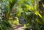 1135 Scenic Drive North, Swanson, Auckland - Carousel 32
