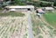 83 APPLEBY RD, Drury, Drury - Carousel 11