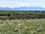594 Hurunui Bluff Road, Hurunui, Hawarden - Carousel 7