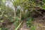 3 McConnell Lane, Chartwell, Hamilton - Carousel 19