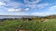 180 Church Street, Riverton - Carousel 3