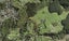 300 Hunua Road, Papakura - Carousel 35
