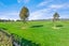 4 Hurutini Way, Halswell, Christchurch - Carousel 18