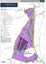 295 Postman Road, Albany - Carousel 5