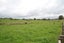 991 East Road, Toko, Stratford - Carousel 29