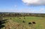 33 Old Kaimai Road, Lower Kaimai, Tauranga - Carousel 17