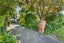 203 Prospect Road, Hastings, Hastings - Carousel 4