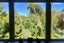 5 Broomlea Street, Wakari, Dunedin - Carousel 7