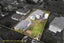 7 Burundi Avenue, Clendon Park, Auckland - Carousel 1