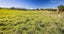 14 Smiths Track, Mangamutu, Pahiatua - Carousel 1