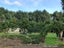 6835 State Highway 12, Turiwiri - Carousel 33