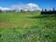 0 McGhie Road, Kihikihi, Te Awamutu - Carousel 2