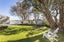 52 Ira Street, Miramar, Wellington - Carousel 32