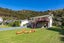 2620 Wyuna Bay Road, Wyuna Bay, Coromandel - Carousel 23