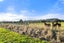601 Ridge Road, Christchurch - Carousel 32