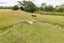 61 Franklin Road, Woodville - Carousel 40