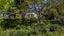 78 Nixon Road, Henderson - Carousel 23