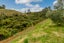 1411A Upper Ohauiti Road, Ohauiti - Carousel 18