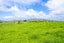 Lot 3 Bird Road, Pirongia, Waipa, Waikato - Carousel 11