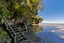 93 Wood Bay Road, Titirangi, Auckland - Carousel 39