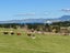74 Edinburgh Street, Waikouaiti, Waikouaiti - Carousel 11