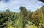 5 Broomlea Street, Wakari, Dunedin - Carousel 27