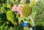 152 Teal Valley Road, Hira, Nelson - Carousel 9