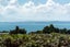 13 Windsor Place, Windsor Park, Auckland - Carousel 3