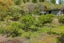 1815 Motueka Valley Highway, Ngatimoti, Tasman, Nelson / Tasman - Carousel 33
